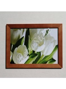 Falikép 18x24 cm - Tulipán